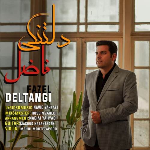 دانلود آهنگ فاضل دلتنگی
